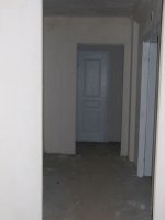 PB051645.JPG