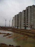 PB051664.JPG
