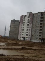 PB051665.JPG