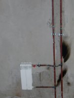 PB051653.JPG