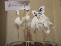 IMG_3669.JPG