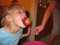 IMG_3688.JPG