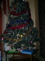 Изменение размера S5025224.JPG