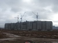 фото с фуджи уменьшен.jpg