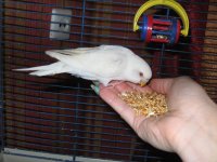IMG_2461.jpg