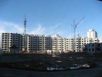 IMG_7099.JPG