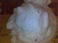 22-11-05_0045.jpg