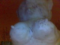22-11-05_0043.jpg