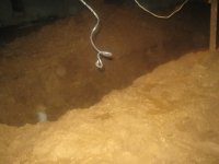 IMG_1784_новый размер.JPG