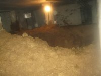 IMG_1786_новый размер.JPG