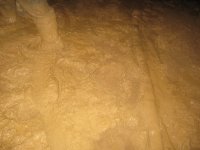 IMG_1785_новый размер.JPG