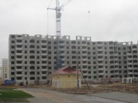 IMG_7134.JPG