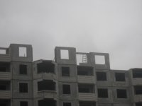 IMG_7139.JPG