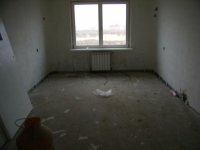 PB171698.JPG
