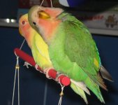 IMG_2492.jpg
