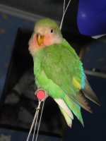 IMG_2493.jpg