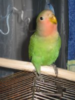 IMG_2577.jpg