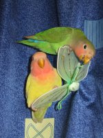 IMG_2586.jpg