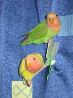 IMG_2592.jpg