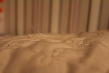 IMG_9905.JPG