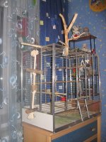 IMG_2784.jpg