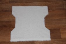 IMG_9992.JPG