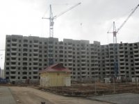 IMG_7202.JPG
