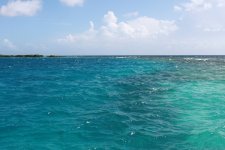 IMG_6871.JPG