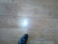 1354609510693.jpg