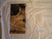 1P1010699_новый размер.JPG