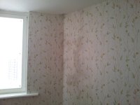 20121205_135327.jpg