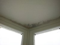 20121205_135408.jpg