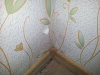 20121205_140024.jpg