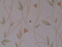 20121205_141008.jpg