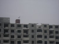 IMG_7226.JPG