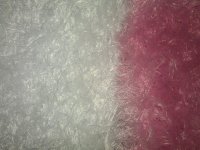 IMG_20121209_212133.jpg