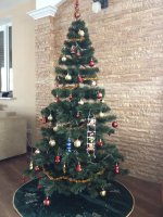 фотография (1).JPG