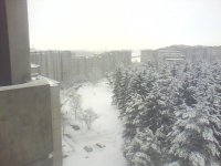 picture_00507.jpg