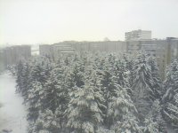picture_00508.jpg