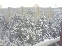 picture_00509.jpg
