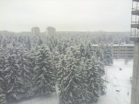 picture_00510.jpg