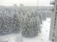 picture_00513.jpg