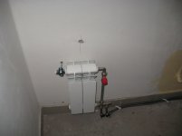 IMG_3381.jpg