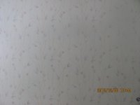 ноябрь 387.JPG