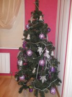DSCF5332-елочка.jpg