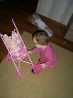 PIC_285666.jpg