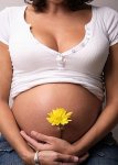В Минске состоится цикл обучающих семинаров для беременных и молодых мам «Любящая мама – здоровый малыш»