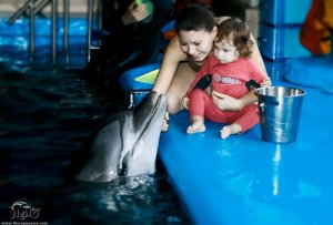 Дельфинотерапия в Минске!