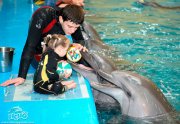 В Минском дельфинарии «Немо» 19 марта состоится научно – практический семинар