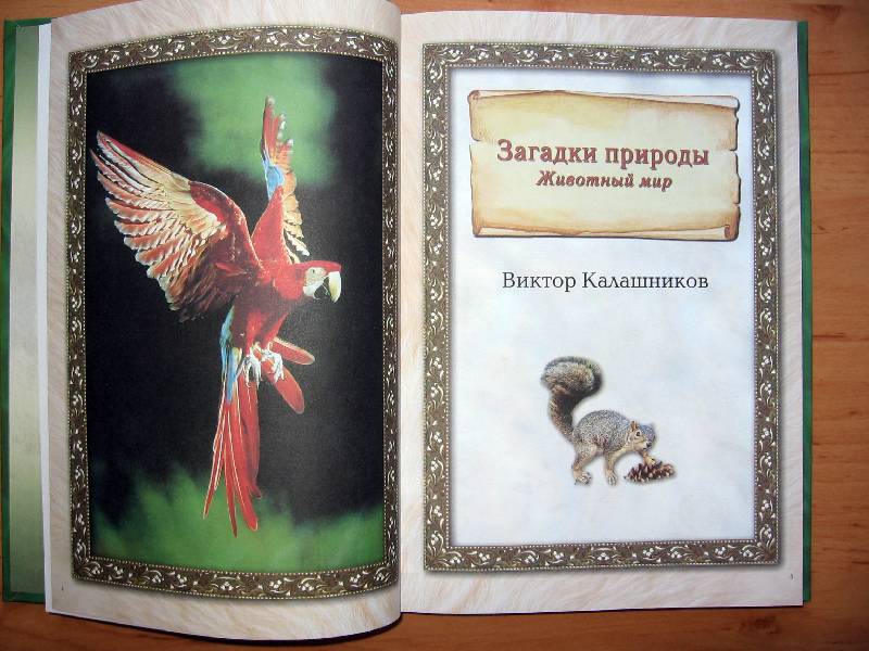 Энциклопедия Виктора Калашникова «Чудеса природы. Животный мир»